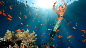 Meet Melissa – The world’s most ‘real-life’ Mermaid in Florida, USA