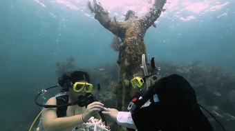 Couple in Florida, USA get married underwater