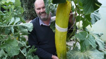 World’s Heaviest Cucumber unveiled by David Thomas in UK