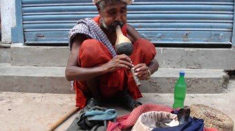 The Plight of the Snake Charmer in India